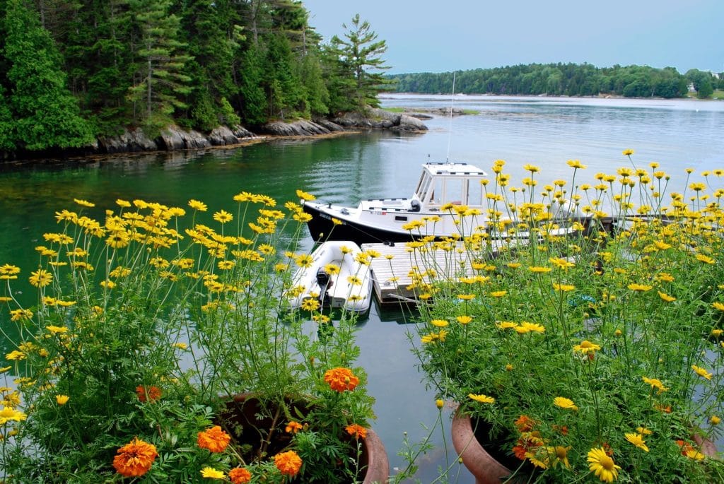 A boat and some flowers on the water in Harpswell